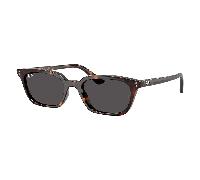 Ray-Ban Zaya RB4456 1359/87 53 Sunglasses