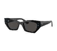 Ray-ban Zena RB4430 667787