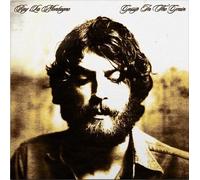 Ray LaMontagne - Gossip in the Grain - Vinyl Record lp - N4z