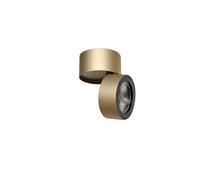 Ray Spot 15W Gold