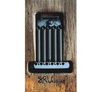 Ray Vaughan, Stevie - SRV