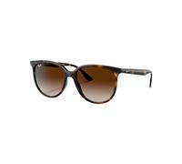 Rayban - Lifestyle Sunglasses - RB4378 Polished Havana Gradient Brown Brown one size