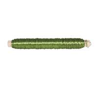Rayher 24112412 Flower Wire 0.55 mm Diameter Wooden Wrap 100 g Pea Green