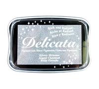 Rayher 29187606 Delicata Metallic Stamp pad, Silver, 9.9x6.8x1.9cm, Size L
