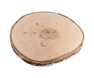 Rayher 55807000 Large Birch Wood Disc with Bark, Natural Round Wooden Tree Log Slice for Crafts, 29-32cm
