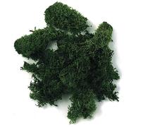 Rayher 8500413 Iceland Moss Dark Green 30 g Real Natural Moss (Iceland) Preserved Cleaned for Crafts Decorative Moss for Easter Christmas Model Making