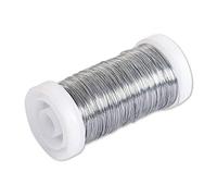 Rayher Flower Wire, Silver, 0.35 mm Diameter, Spool 100 m, Material: Iron, Galvanised, Nickel-Free, Craft Wire, Winding Wire, 2425021