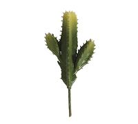 Rayher Hobby 55779000 Column Cactus, Assorted, 7.3 x 15 cm