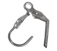 RAYHER Stainless Steel Ear Hook with Catch, Platinum, 15 mm, 4-Piece