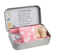 Raykce A Little Pocket Bear Hug for Children Women Friend, Small Teddy Bear in a Tin Box, Plush Bear Toy Sending You Mini Pocket Hug Love, Taken Doll Decoration (Light Brown)