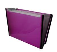 Raylu Paper® - 12 Pockets Accordion Sorting Folder Plastic Folder for Office with Reinforced Dividers and Edges (Fuchsia)