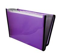 Raylu Paper® - 12 Pockets Accordion Sorting Folder Plastic Folder for Office with Reinforced Dividers and Edges (Purple)