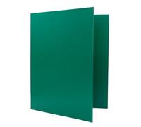 Raylu Paper - 2 D Ring Binder A4 Folder with Rings for Document Storage A4 Size 33.5cm High x 26cm Wide (Green, Spine 40mm)
