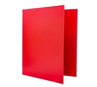 Raylu Paper - 2 D-Ring Binder, A4 Ring Binder for Document Storage, Size 33.5 cm high x 26 cm Wide (red, Spine 25 mm)