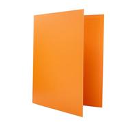 Raylu Paper® - 4 D-Ring Binder 25 mm, A4 File Cabinet with Rings for Storing Documents, A4 Size 33.5 cm High x 26 cm Wide and 4 cm Thick Spine (Pastel Orange)