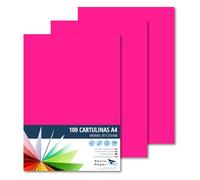 Raylu Paper® A4 100 Pieces Colour Fuchsia 180g 210x297mm Ideal for Binding, Office Work, Drawing, Crafts Suitable for School Use (Fuchsia)
