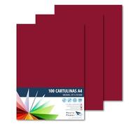 Raylu Paper® A4 100 Pieces Maroon Card 180g 210x297mm Ideal for Binding, Office Work, Drawing, Crafts Suitable for School Use (Maroon)