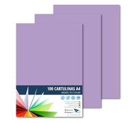 Raylu Paper® A4 100 Pieces Violet Card 180g 210x297mm Ideal for Binding, Office Work, Drawing, Crafts Suitable for School Use (Purple)