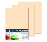 Raylu Paper® A4 100 x Cream Card 180g 210x297mm Soft Touch Ideal for Binding Office Work Drawing Crafts Suitable for School Use (Cream)