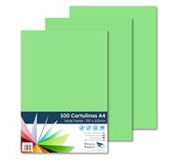 Raylu Paper - A4 100 x Leather Coloured Card 180g 210x297mm Ideal for Binding, Office Work, Drawing, Crafts, Suitable for School Use (Pastel Green)
