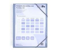 Raylu Paper File Folder with Transparent A4 Sleeves and Rings, 90 Micron Clear Sleeves Folder, Zippered Envelope and Customizable Cover for Organization (50 Pockets, Smoke)