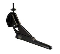 Raymarine Cpt-100 Dvs Downvision Transducer