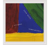 Raymond Macdonald / Aoife Mannix - Other Voices