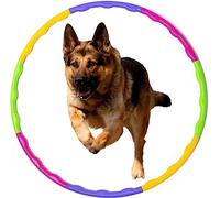 RAYMSTER Pet Exercise Training Jump Hula Hoops - Outdoor Fitness Equipment for Cat & Puppy Play - Multicolor Hoola Hoops for Dogs Jumping Activity, Adjustable 8 Pieces Convenient Storage - Pack of 1