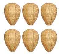 RAYNEAY Wasp Nest Decoy, 6 Pack Hanging Paper Fake Wasps Nests | Paper Waterproof Coating, Hornet Repellent Nest, Keep Wasps Away, Garden, Patio, Orchard, Outdoor, Easy to Use