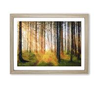 Rays Of Light Through An Autumn Forest Modern Art Framed Print | A4 Oak Framed Wall Art | Ready to Hang | Modern Landscape Picture | Living Room Bedroom Lounge Office