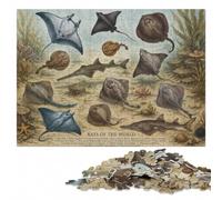 Rays of the World Scientific Poster Jigsaw Puzzle for Adults, 1000 Pieces | Christmas gift for puzzle lovers: quiet evening activity on weekends.