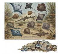 Rays of the World Scientific Poster Jigsaw Puzzle for Adults, 500 Pieces | Adult Jigsaw Puzzle - image-based sorting for steady puzzle progress at home.