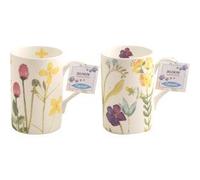 Rayware Fine Bone China Mugs Bloom
