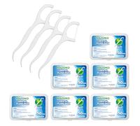 RAZOKO Dental Floss Picks, High-Pull Toothpicks Sticks Clean/Heathy Dentalpicks with Travel Case Perfect for Family,Hotel,Travel (300Pcs)