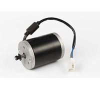 Razor PowerRider Motor w/Screws