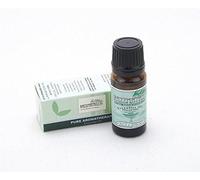 RAZZMATAZZ 100% Pure Essential Oils, 10 ml amber bottle, choose aroma, direct from British manufacturer (Eucalyptus)