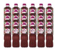 RB Verry Berry Flavoured Mixed Strawberry, Raspberry, Blackberry, Apple Fruit Juice Drink with Sweetners and Vitamin C 500ml Bottle Made with Real Fruits and Natural Sugars (Pack of 24)