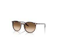RB2204 Sunglasses in Polished Havana Yellow Tortoiseshell