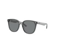 Rb4423D 645087 Sunglasses - unisex - Ray-Ban - Sunglasses - Gray - 55 MM - Accessories 55 MM