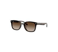 RB4461D Rectangle Sunglasses Havana One Size