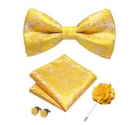 RBOCOTT Bowtie Bright Yellow Paisley Pre-tied Bow Tie and Pocket square with Cufflinks Lapel Pin Sets for Men 4PCS(4)