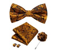 RBOCOTT Bowtie Orange Paisley Pre-tied Bow Tie and Pocket square with Cufflinks Lapel Pin Sets for Men 4PCS(24)