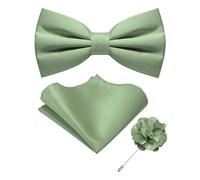 RBOCOTT Pre-tied Sage Green Bow Tie and Pocket Square with Lapel Pin Sets Adjustable Bowtie for Party and Wedding 3PCS(19)