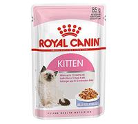 Royal Canin Kitten in Jelly Wet Pouches 85g (Pack of 48)