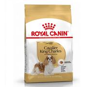 RC Cavalier King Charles - 1.5KG
