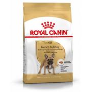 RC French Bulldog - 9KG