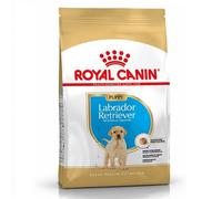 RC Labrador Retriever Puppy - 3KG