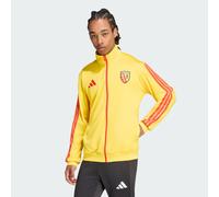 RC Lens DNA Track Top