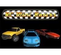 RC Mini Racers Steam CD Key