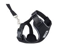 RC Pet Products Adventure Kitty Harness, Cat Walking Harness, Large, Black (53805001)